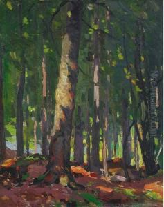Birch Wood Interior