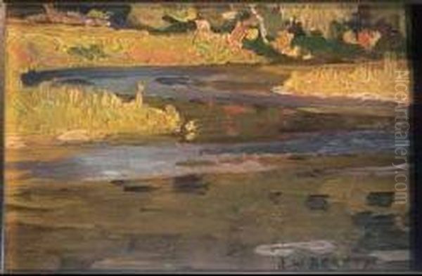Summer Landscape - view 1