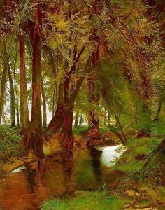 Woodland with Brook 1831-35 Woodland with Brook 1831-35