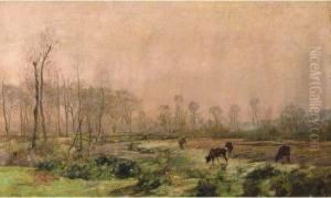 Vaches S'abreuvant Vaches S'abreuvant