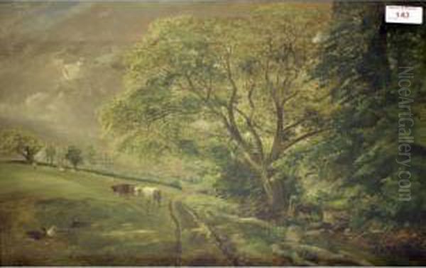 Rural Landscape. - view 1