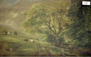 Rural Landscape.