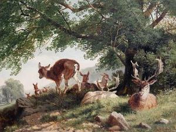 Deer In A Park - view 1
