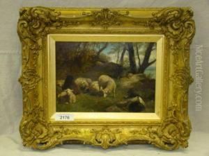 Sheep With Fisherman thumbnail