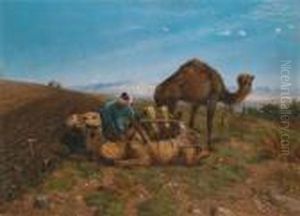 Nella Sahara - Cambio Dei Cammelli