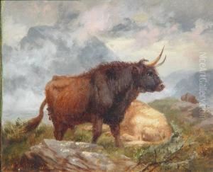 Toros by Richard Beavis
