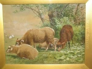 Sheep Grazing In A Field by Richard Beavis
