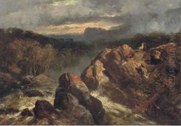 Mountain Goats At A Tributary Of The Rhone - view 1