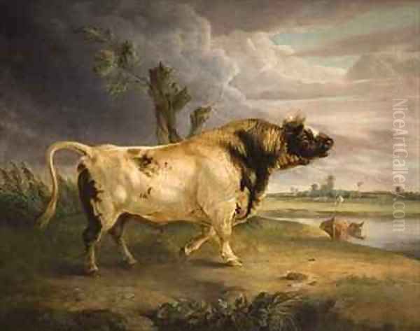 A Bull - view 1