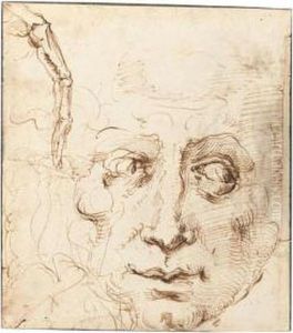 Recto: Sheet Of Studies With The Head Of A Man And A Skeletal Finger by Domenico Beccafumi