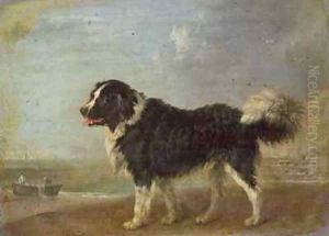 A Newfoundland dog on a seashore by Edmund Bristow