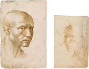 Head Of An Old Man by Domenico Beccafumi