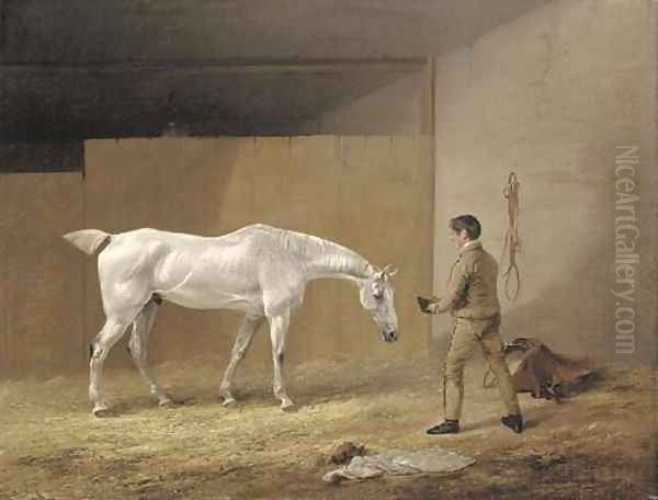 A grey hunter and stableboy - view 1