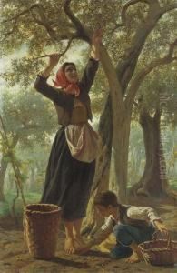 La Raccolta Delle Olive by Luigi Bechi