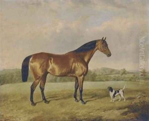 A bay hunter with a terrier in an extensive landscape by Edmund Bristow