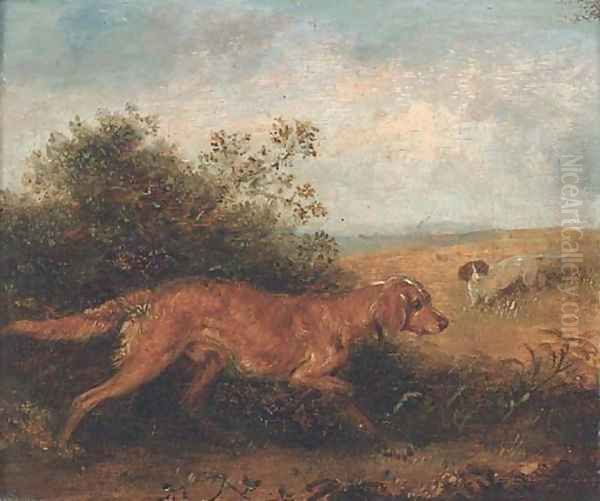 Gundogs - view 1