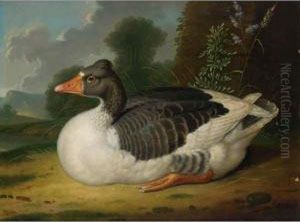 A Goose In A Landscape by Jacob Samuel Beck