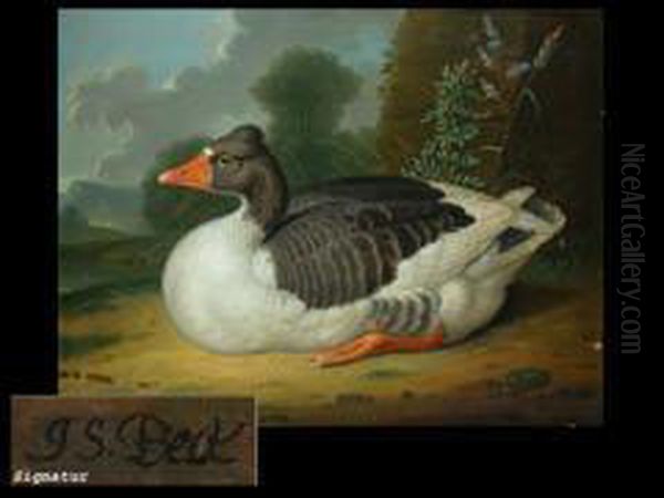 Ente - view 1