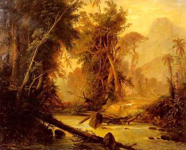 A Tropical Forest In Venezuela - view 1