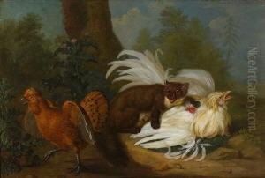 Jagender Iltis Mit
Huhnern. by Jacob Samuel Beck