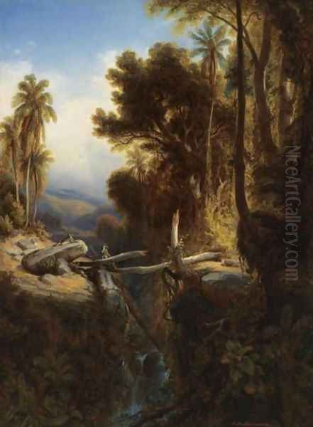 Paisaje de Venezuela - view 1