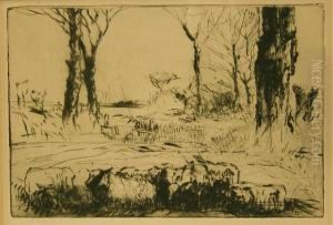 Sheep Grazing