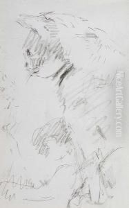 Sketch Of A Cat