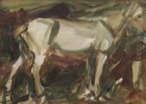 Study Of A Horse