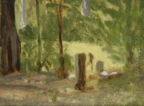 Forest Scene - view 1
