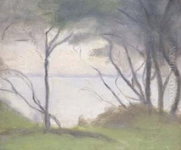 Ti-tree Point - view 1