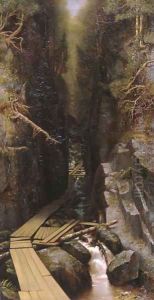 The Boulder and the Flume 1878