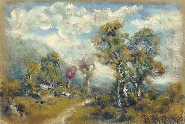 Cloudy Sky - view 1