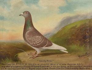 "silent Willie" And "country Pride" by William Andrew Beer