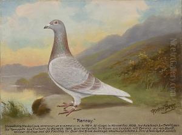 Ramsey - view 1