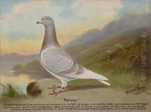 Ramsey by William Andrew Beer