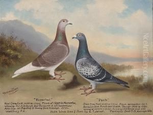"expected" And "porth" by William Andrew Beer