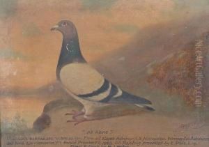 'all Alone' - A Blue Cock, And 'great Surprise' - A Dark Cheq Hen by William Andrew Beer