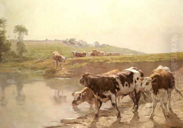 Cattle In A Pasture - view 1