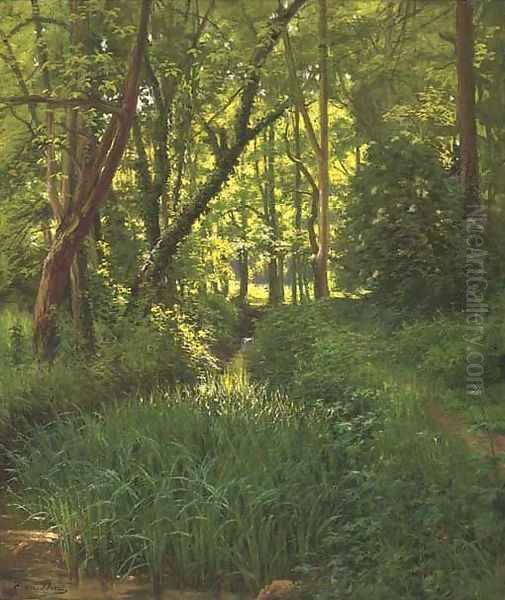 A woodland stream - view 1