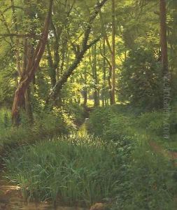 A woodland stream by Henri Biva