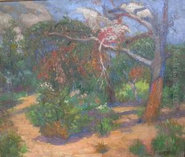 Pejzaz Z Drzewem - view 1