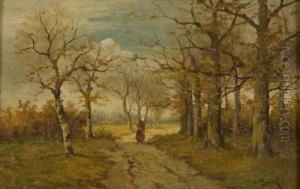 Bauersfrau Auf Einem Waldweg Bauersfrau Auf Einem Waldweg
