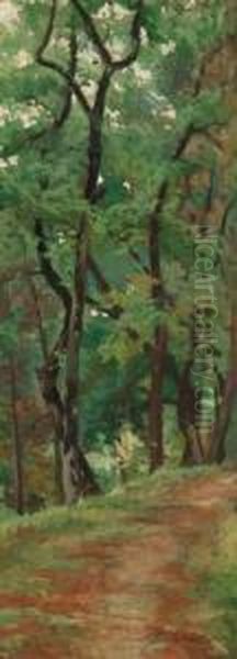 Viottola E Alberi - view 1