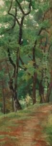 Viottola E Alberi by Adolfo Belimbau