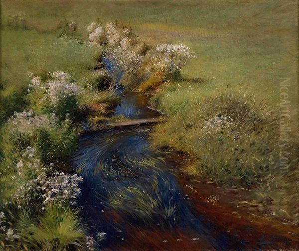 Wild Asters - view 1