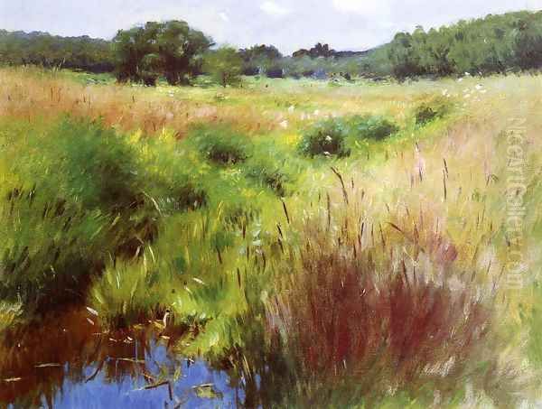 Marshland, Medfield - view 1