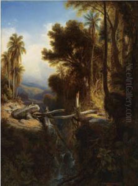 Paisaje De Venezuela - view 1