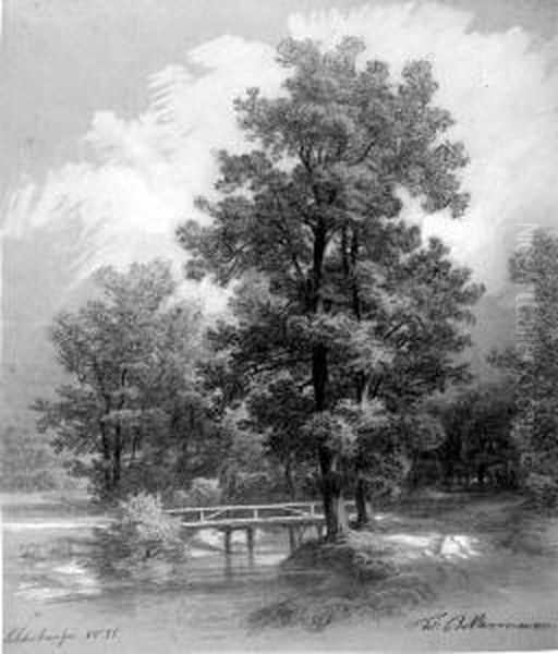 Schonhauser Parklandschaft Mit Alten Eichen, Gewasser Und Kleiner Brucke - view 1