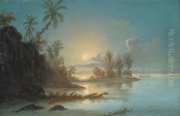 Sunset In The Orinoco Delta - view 1