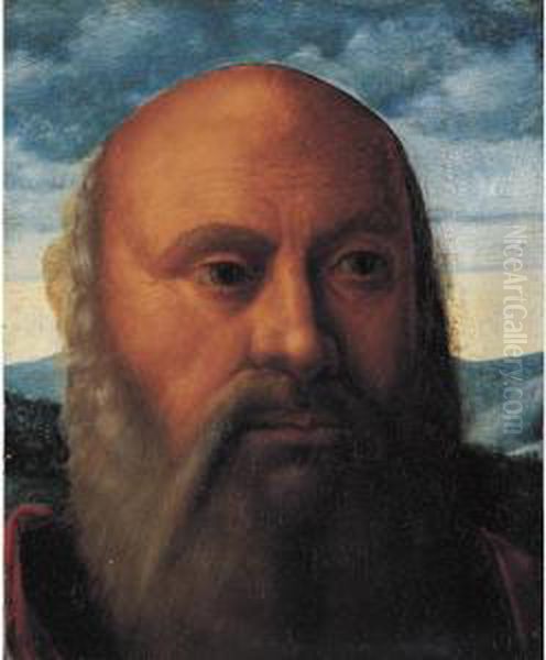 Head Of A Man, A Fragment - view 1